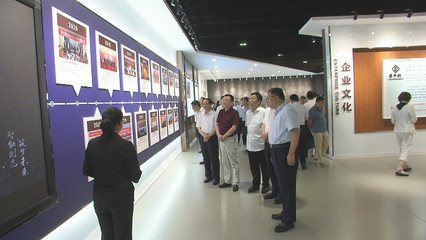 山东省财金投资集团领导来新泰市调研