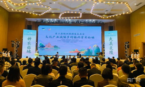 文化产业赋能乡村振兴学术论坛 举办 央广网