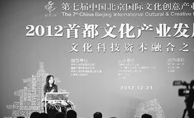 张作荣 文化产业发展与金融创新深度融合怎样推进