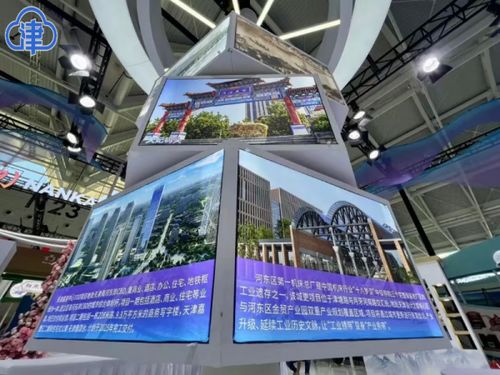 桥介河东 河东带着 文旅特产 亮相中国文化旅游产业博览会