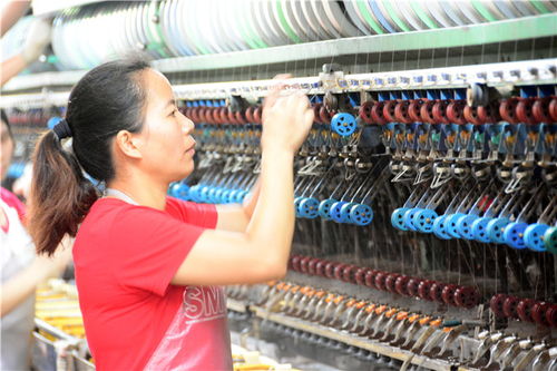 南海西樵本地孩子走进老工厂学习传统文化产业历史,做名缫丝工人