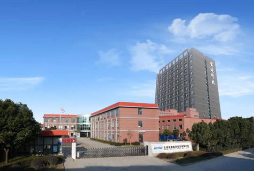 胡润中国元宇宙潜力企业榜,高新区3家企业入选